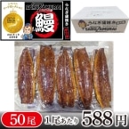 T)�yCS�z�����V������ 50���i�o���^�C�v�j