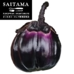 �������܌��Ȃ��i�t�B�����c�F�ۃi�X) ��ʌ��Y ��250G