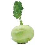 �y������̃R�[�����r ��300G