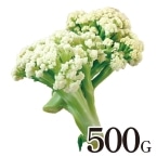 �y������̃J���t���[��(��) 500G