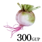 �y������̍g�c�卪�@��i�ہE���j300
