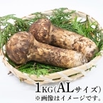�����Y����AL�T�C�Y 1KG