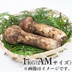 �����Y����AM�T�C�Y�@1KG