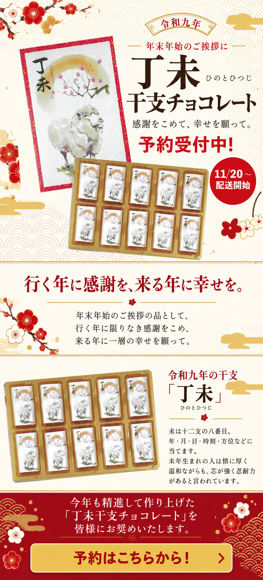 �ߘa��N ���� ���x�`���R���[�g �\���t���I11/20〜�z���J�n