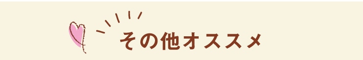 その他