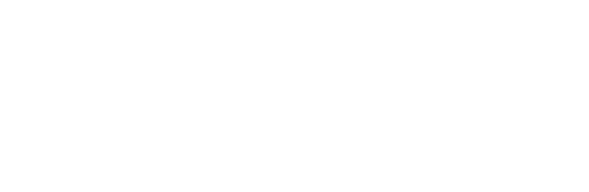 Ⴄ́H