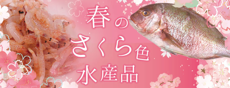 春の水産
