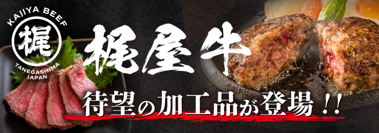 ���������H�i