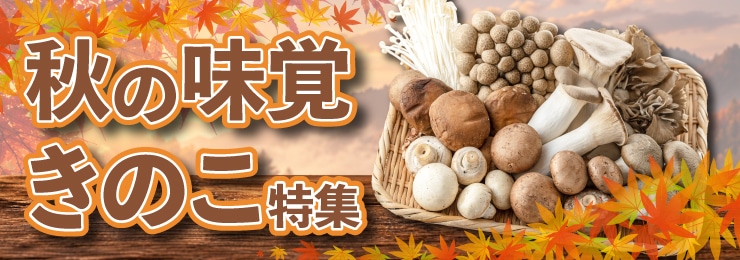 �H�̃L�m�R���W
