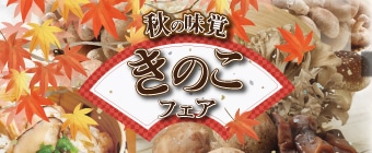 kinoko