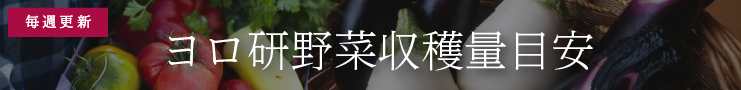 ヨロ研