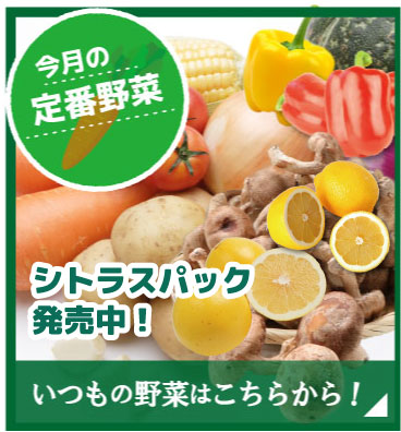 今月の定番野菜