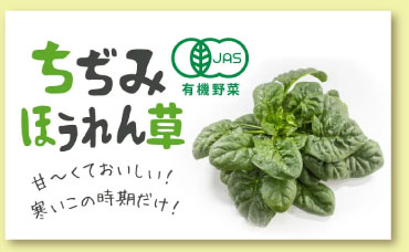 �����݂ق����