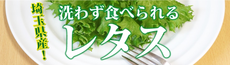 レタス