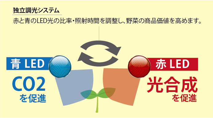 工場