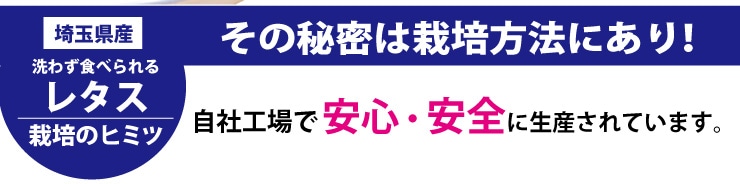 タイトル