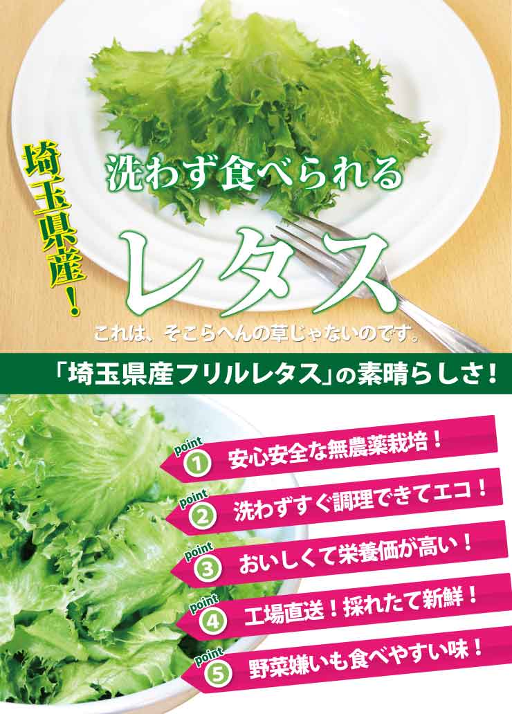ヘッダー