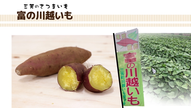 ��؉摜