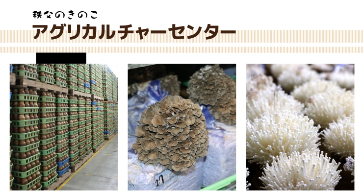 ��؉摜