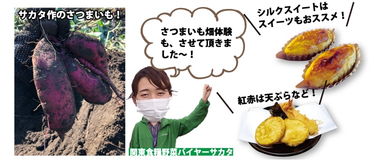 ��؉摜