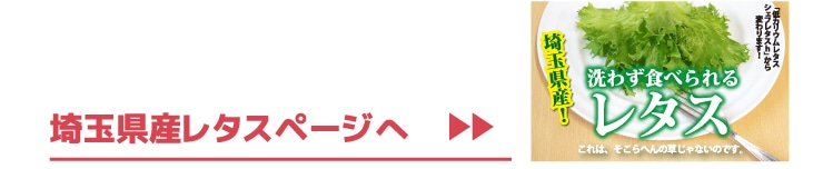 ��؉摜